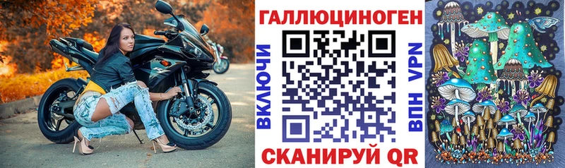 Галлюциногенные грибы Psilocybe где продают Александровск